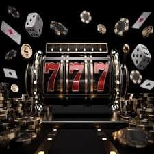 bet 6566