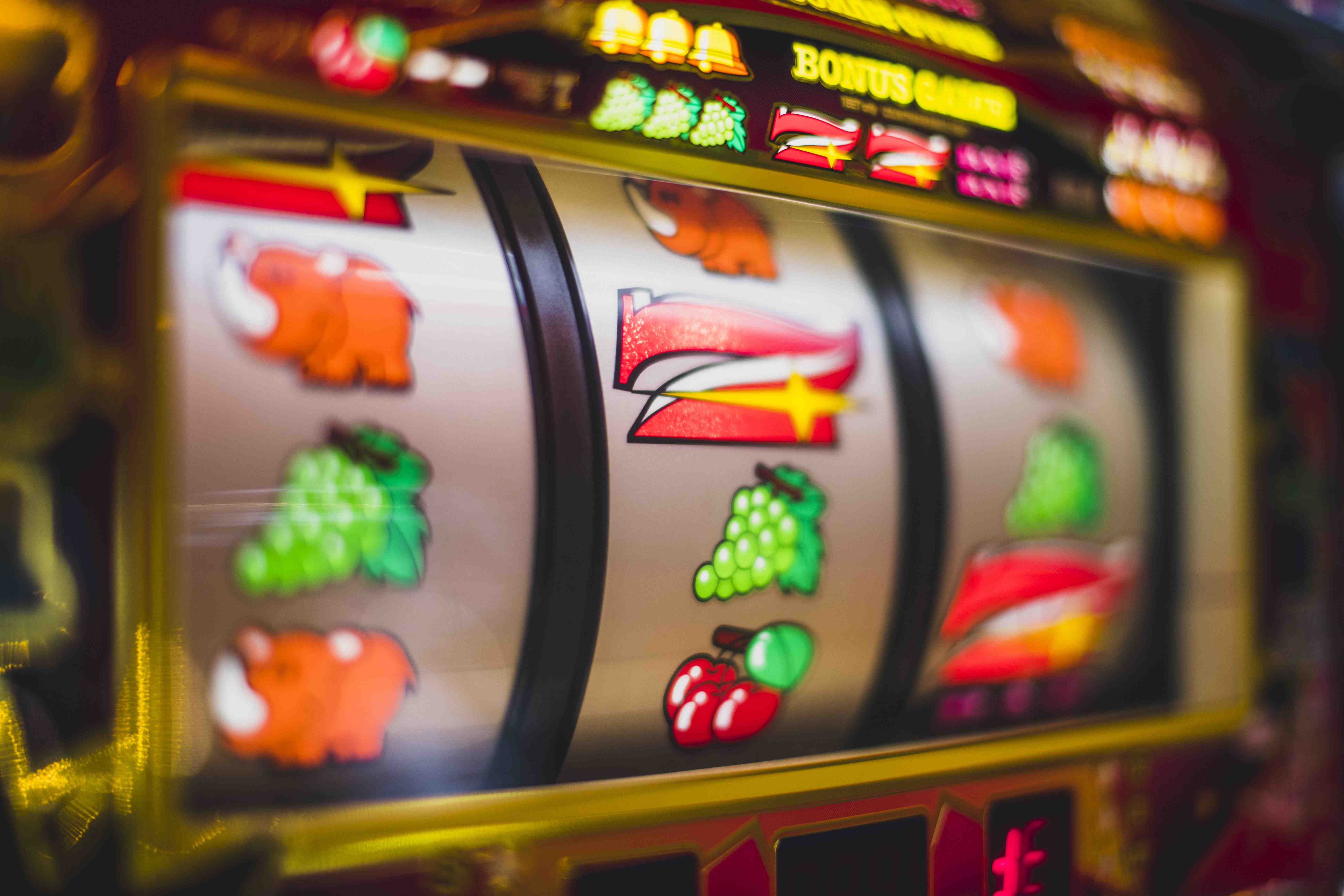 bet 6566 bet 6566